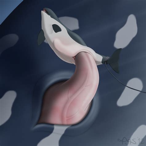 Rule 34 2012 Cetacean Closed Eyes Female Male Marine Orca Penetration