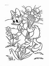 Daisy Coloring Pages Kids Color Print Beautiful Disney Adult Mickey Friends Justcolor sketch template