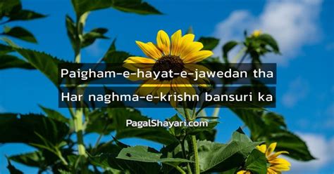 paigham  hayat  jawedan tha english sher hasrat mohani shayari  poetry pagal shayari