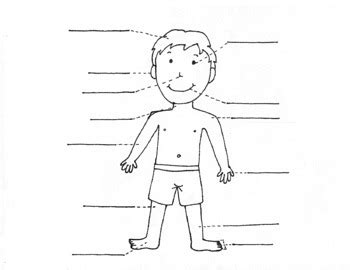 childrens coloring page human body     box preschool