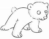 Polar Bear Baby Coloring Cute Pages Printable Bears sketch template