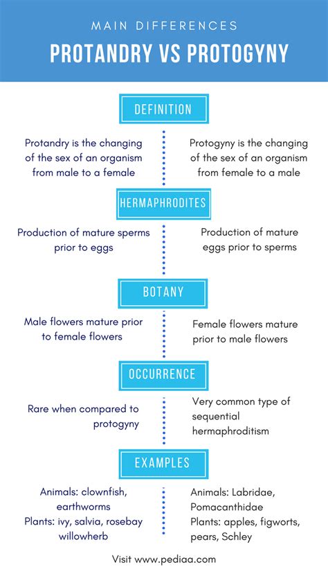 difference between protandry and protogyny definition characteristics examples