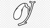 Gallbladder Pancreas Bile sketch template