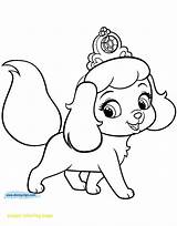 Coloring Pages Puppy Puppies Pets Palace Kitten Princess Printable Printables Pumpkin Cute Cartoon Pomeranian Print Drawing A4 Dogs Size Disney sketch template