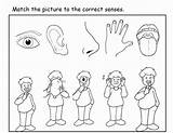 Senses Sinne Five Ausmalbild Malvorlagen Kategorien sketch template