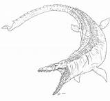 Mosasaurus Jurassic Jw Kiley sketch template