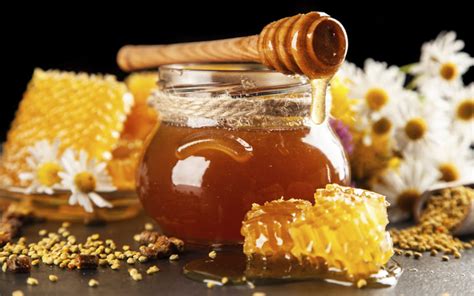 propiedades medicinales de la miel  debes conocer mexico desconocido