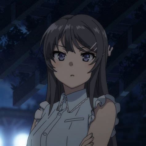 Pin On Rascal Does Not Dream Of Bunny Girl Senpai