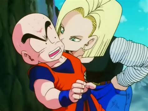 dragonball z android 18 vs bulma images aandroid 18 kissing krillen wallpaper and background