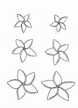 Plumeria Flower Drawing Coloring Flowers Sketch Rosa Hoodlum Rox Girl Tattoo Drawings Deviantart Outline Paintingvalley Designlooter Tattoos Hawaiian Collection 04kb sketch template