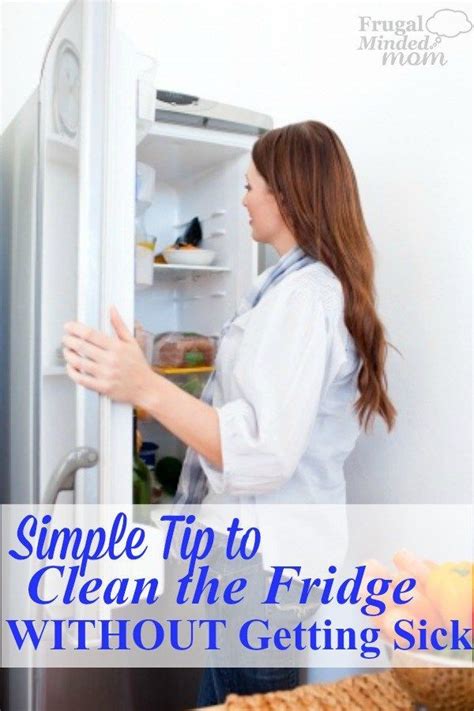 clean mold    fridge   sick frugal minded mom