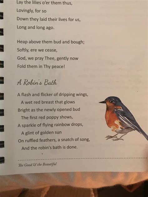 bird poem poemas