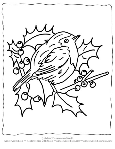 winter bird coloring pages belinda berubes coloring pages