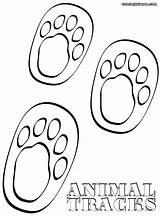 Footsteps Coloring Designlooter 4kb 1000px Sheet Animal sketch template