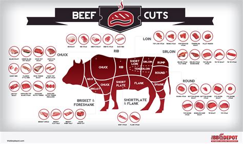 beef cuts visually
