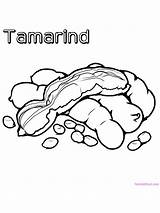 Tamarind Fruit sketch template