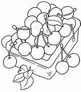 Cirese Colorat Cerezas Fructe Cesto Planse Groente Desene P04 Frutas Primiiani Cherries Animaatjes Vizite Voturi 1236 Plansa Imprimirdesenhos Anterior sketch template