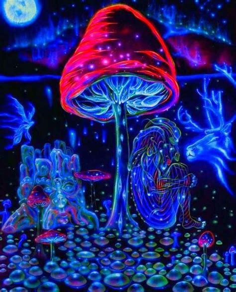 1000 Images About Psychedelic On Pinterest Trips Acid