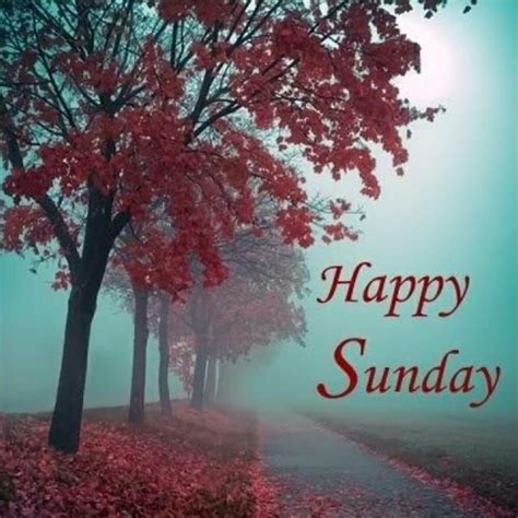 happy sunday hd pictures  facebook happy sunday images happy