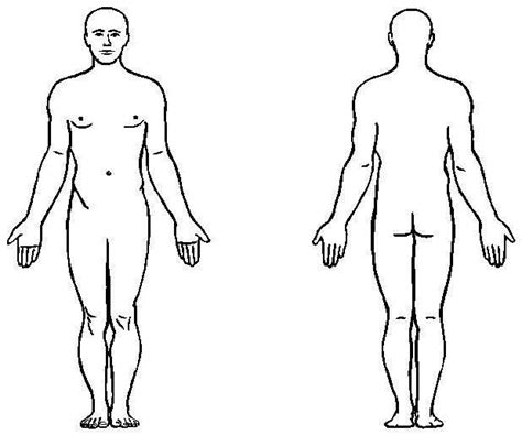 blank body diagram outline  human body clipart clipartfest