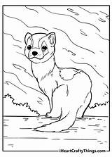 Ferret Animal Iheartcraftythings sketch template