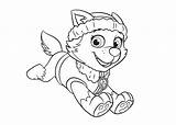 Everest Patrol Paw Coloring Pages Para Colorear Coloriage Clipart Skye Dessin Clip Patrulla Canina Library Getcolorings Patrouille Pat Dibujos Azcoloring sketch template