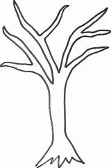 Tree Leafless Outline Clipartmag sketch template