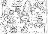 Colouring Woodland Winter Pages Animals Become Member Log sketch template