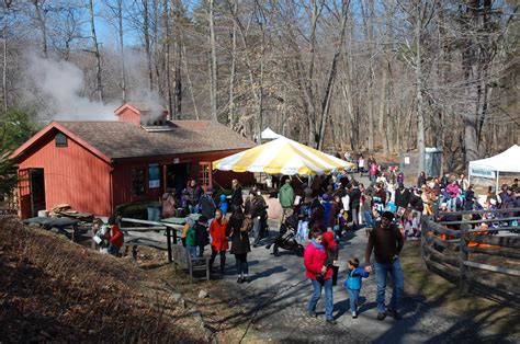 maple syrup festival coming   weeks