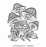 Coloring Pages Adult Mushrooms Zentangle Mushroom Outline Printable Magic Doodle Sketch Vector Mandala Trippy Hand Drawn Illustration Hippie Books Colouring sketch template