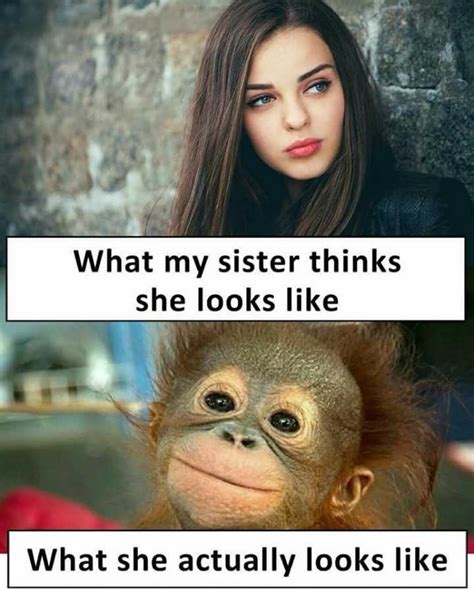 Pin By Tami Lynne On Funny D Funny Sister Memes Siblings Funny