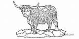 Highland Cow Pages Coloring Colouring Mindfulness Template Cattle Animal sketch template