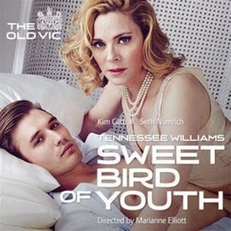 Sweet Bird Of Youth Cheap Theatre Tickets Old Vic Theatre