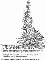 Mexico Yucca Coloring Flower Pages Ws Flowers State Activities Kidzone Printable Choose Board Geography Little Cactus sketch template
