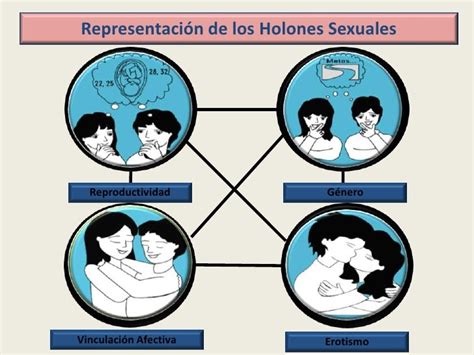 El Modelo De Los Cuatro Holones Sexuales