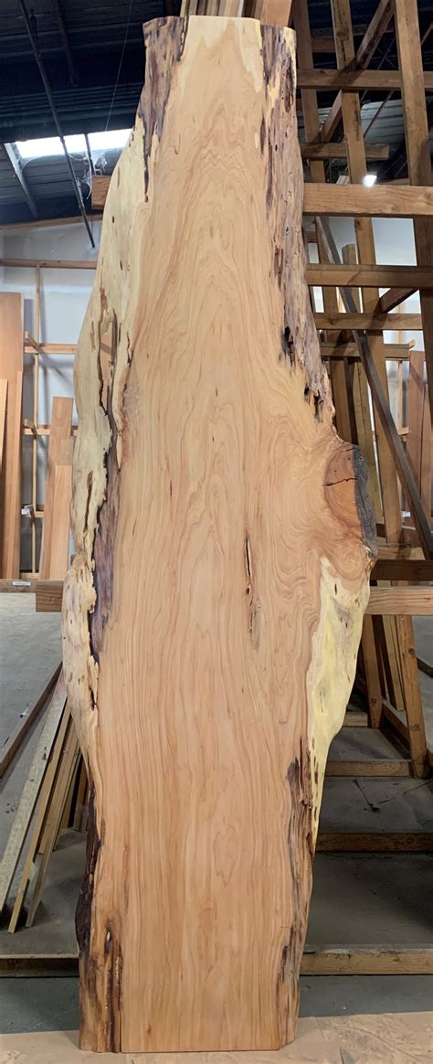 monterey cypress pre finished slab jackel enterprises  wood