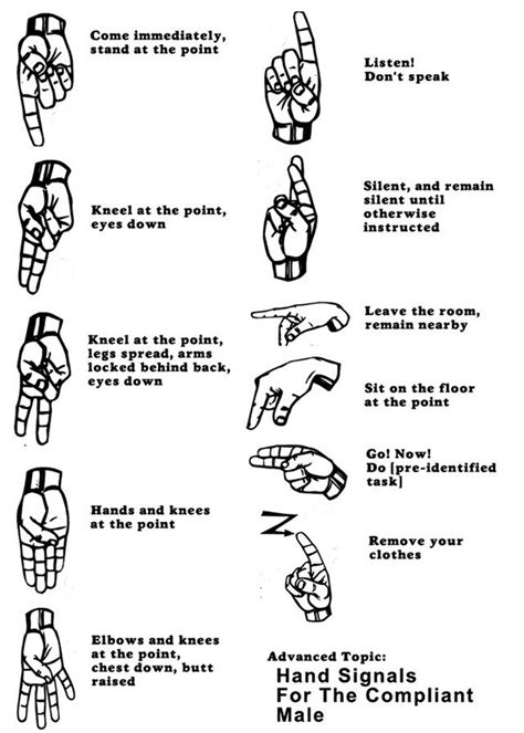 illustrated guide hand signals