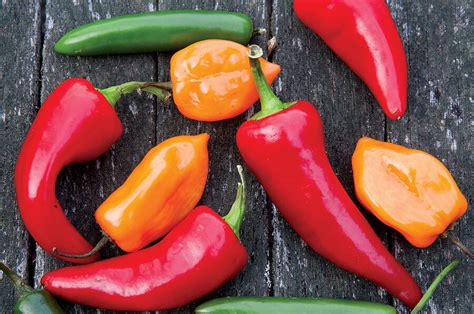 plant a peck of powerful peppers