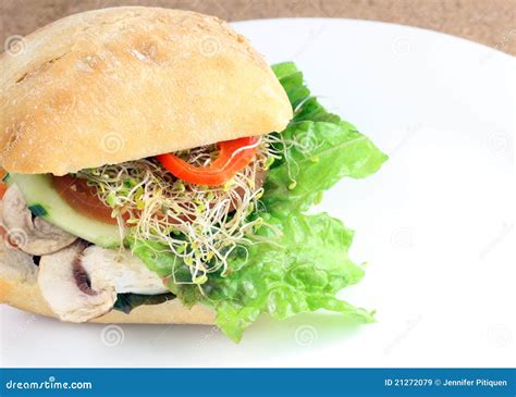 vegetable sandwich stock image image  restaurant vegetarian