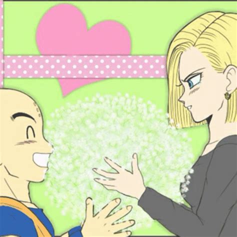 Krillin And Android 18 The Best Couple Challenge