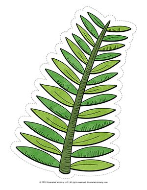 downloadable palm frond coloring page  palm sunday palm