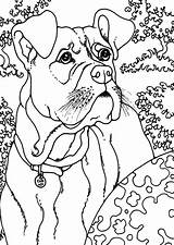 Boxer Pages Dog Outside Coloring Play sketch template