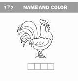 Outline Cock Coloring Cartoon Vector sketch template