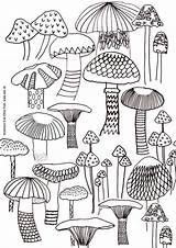 Adults Pilz Pilze Fungi Muster sketch template