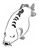 Carp Coloring Pages Fish sketch template