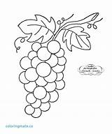 Grapes Coloring Grape Vine Drawing Line Embroidery Pages Patterns Cliparts Clipart Fleur Lis Clip Pencil Getcolorings Pattern Bunch Getdrawings Paintingvalley sketch template
