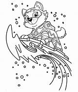 Mighty Pups Everest Colouring sketch template