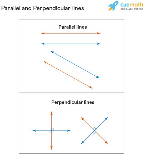 parallel  perpendicular lines definition properties examples