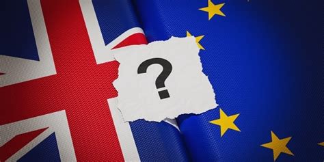top  brexit business questions answered business west