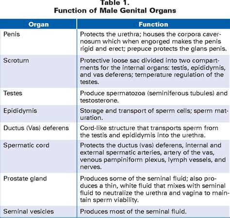 table   assessment   male reproductive system semantic scholar